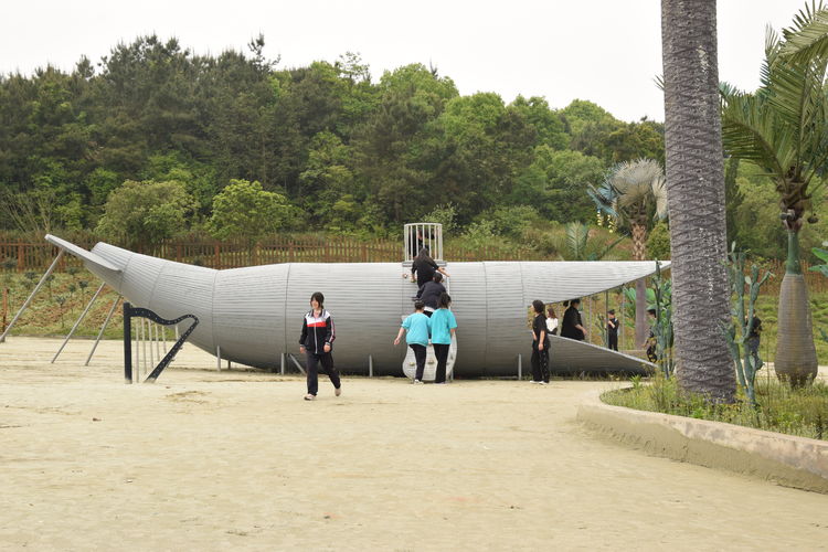 /uploads/187/20210422094446123.jpg?imageView2/2/w/750/h/1400/q/80