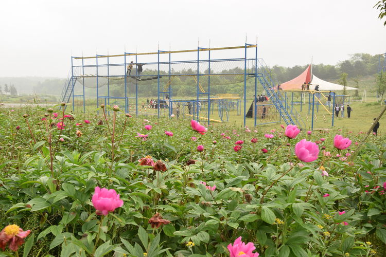 /uploads/187/20210426103904829.jpg?imageView2/2/w/750/h/1400/q/80