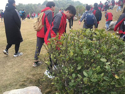 云梦中学,云梦,民办学校,高中教育,专业特色学校